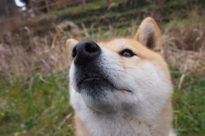 开云体育app入口-哈登率队打出高潮快船稳居前列，哈登晃倒的快船球员是谁