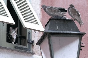 开云体育app官网-体育教师进修项目聚焦运动康复知识更新，体育教师授课培训