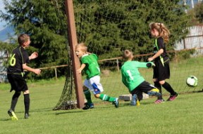 开云体育在线-跨界赛事：足球与其他体育项目的融合尝试，足球外跨教学视频