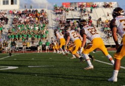 开云体育官网登入-中国足球观众活跃度与主场气氛分析，中国足球观看人数