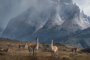 kaiyun网址-斯威士兰男篮在非洲锦标赛中崭露头角，勇夺佳绩