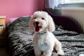 开云体育app入口-中甲球队技战术训练融入虚拟现实增强实战体验，中甲球队试训