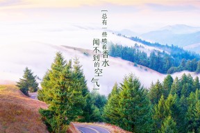 开云体育app在线-“32强俱乐部世界杯开幕：全新模式引全球注目”