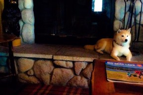 开云体育在线登入-威尔士青训体系引领橄榄球未来发展，威尔士教练