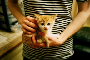 开云体育网址-联盟加强纪律管理提升职业精神与责任感，强化纪律管理