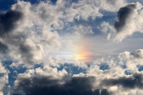 开云体育官网app-辽宁飞豹重视技战术细节追求极致执行力，辽宁飞豹是什么企业