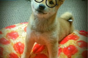 开云体育官网在线-FIFA实时更新：国足第94 日本冲顶失败，fifa19国足