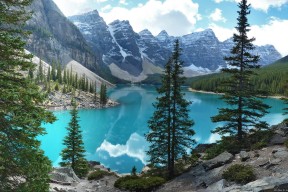 开云体育在线入口-女子橄榄球的未来：新西兰女队的崛起，新西兰 橄榄球