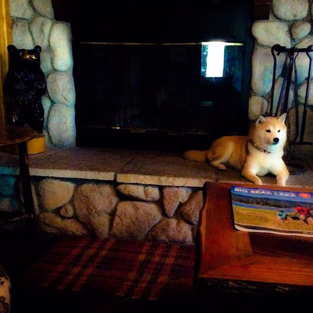 英超球队技术统计助力快速轮换效率提升,英超轮数