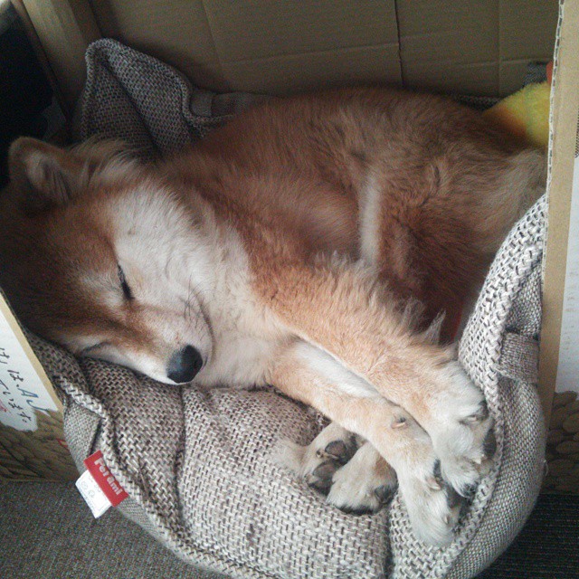 中国三人篮球男队提升边线球战术效率,3人篮球中国队