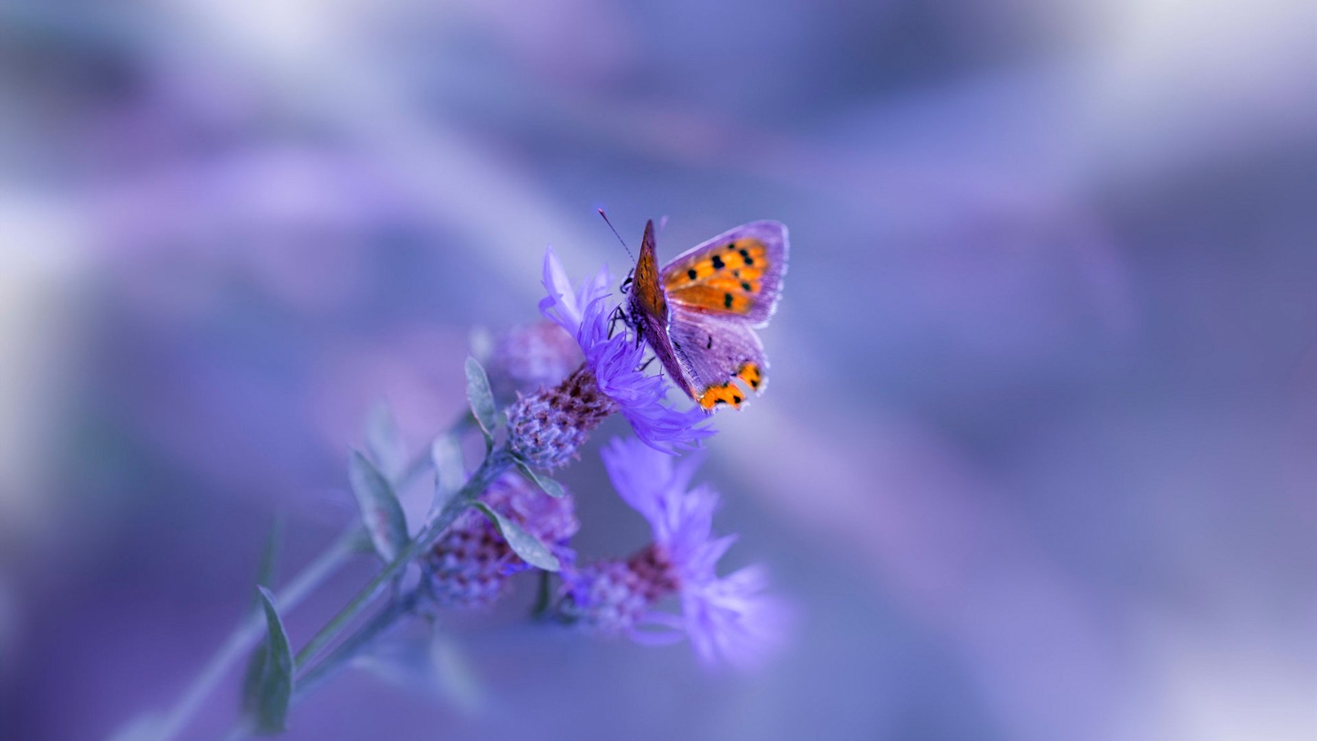 中国男篮总结失利经验 聚焦防守细节,中国男篮状况