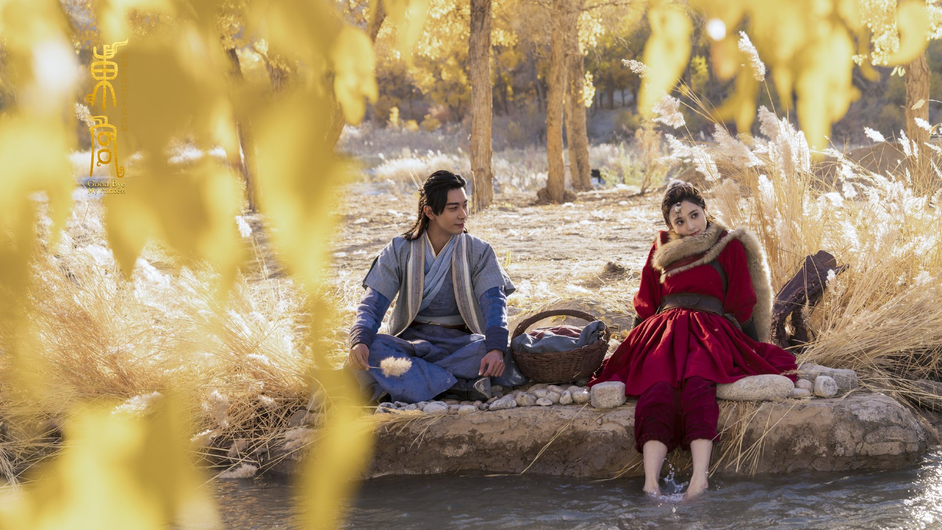 五大联赛历史传控比对比看战术演进轨迹,五大联赛历史出场纪录