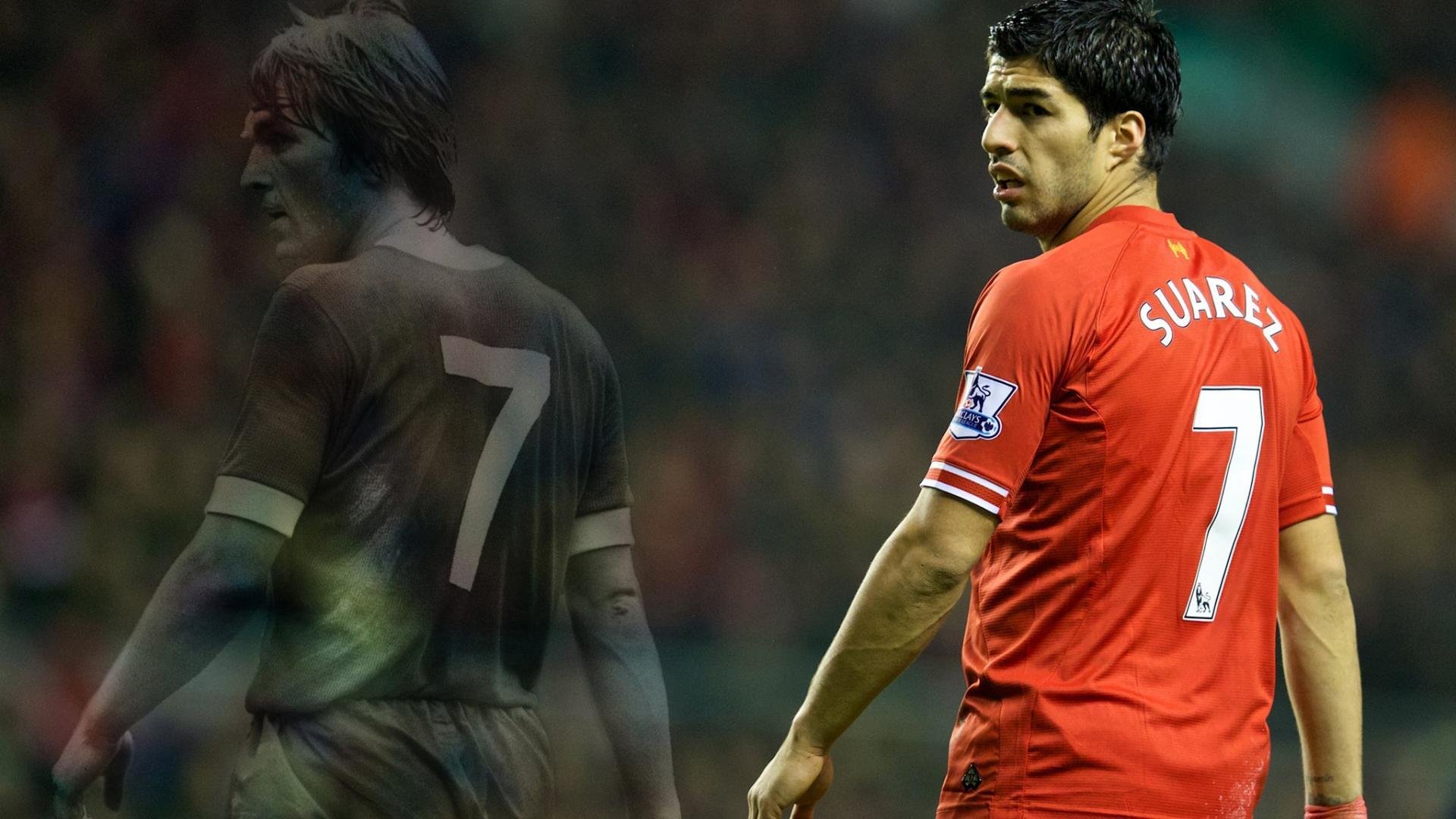 埃及赛制解析:多元化赛事形式如何促进本土发展,埃及杯ds