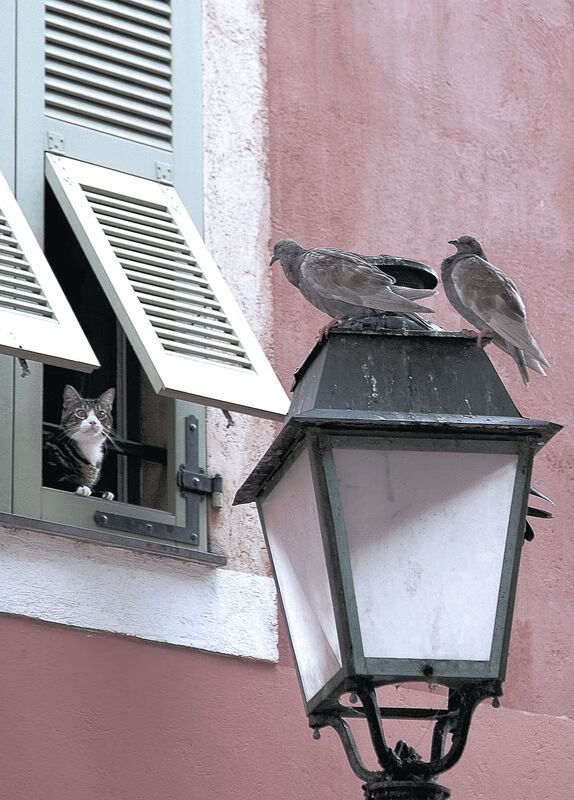 拜仁高压战术再次展现威力,拜仁高层三巨头