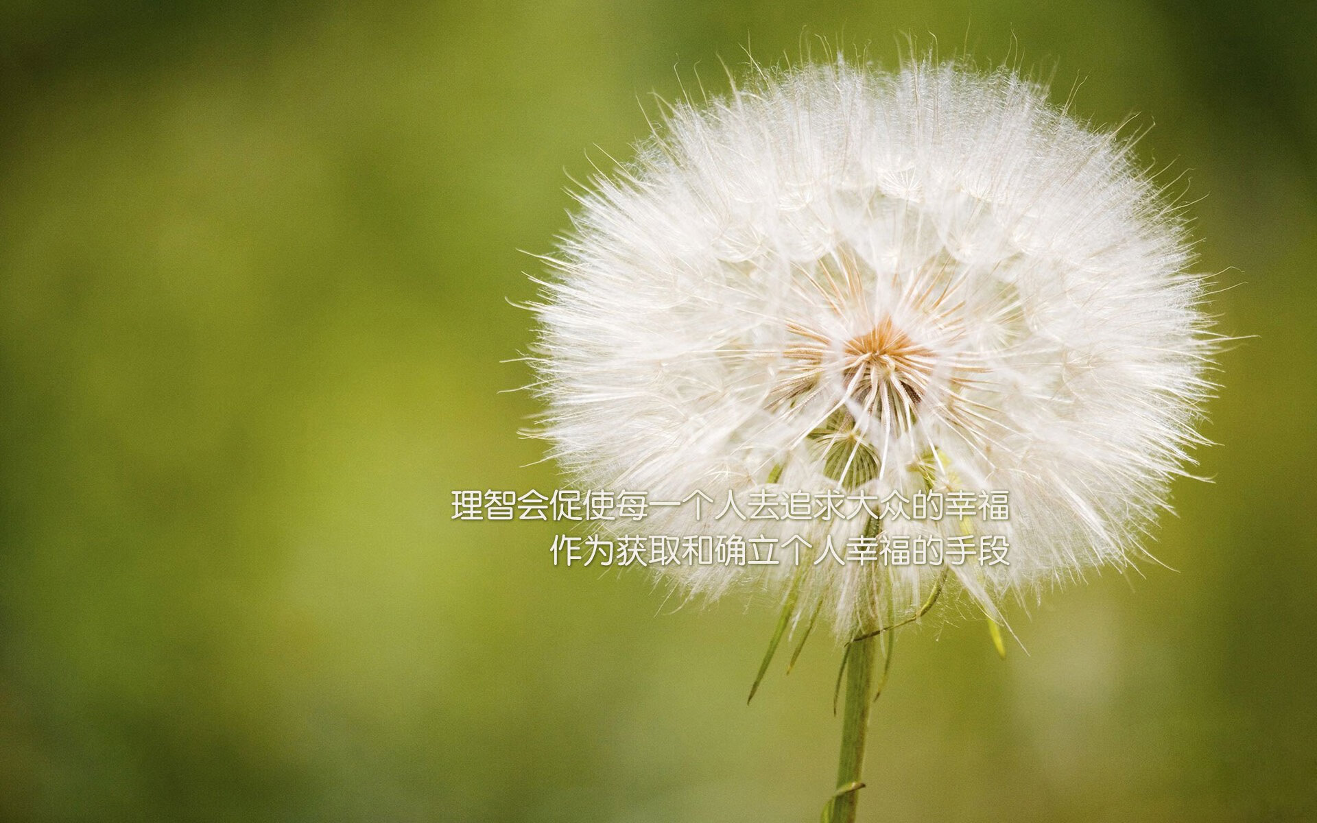 波兰队未来规划:依托国内乒乓文化提升整体竞技水平,波兰乒乓球联赛