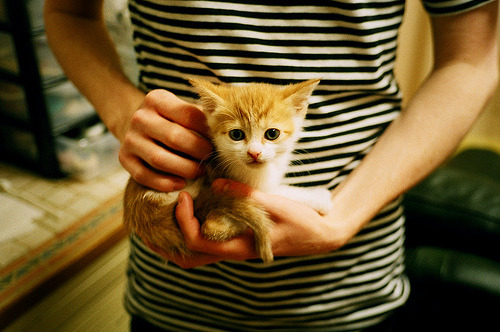 联盟加强纪律管理提升职业精神与责任感,强化纪律管理