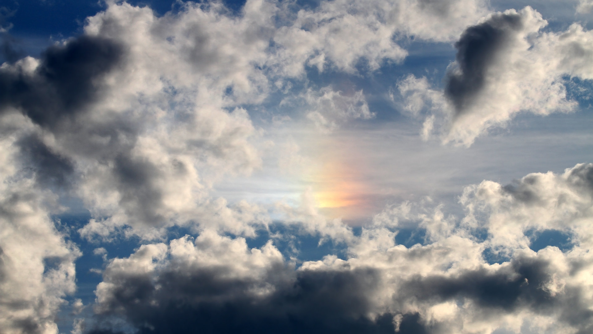 辽宁飞豹重视技战术细节追求极致执行力,辽宁飞豹是什么企业