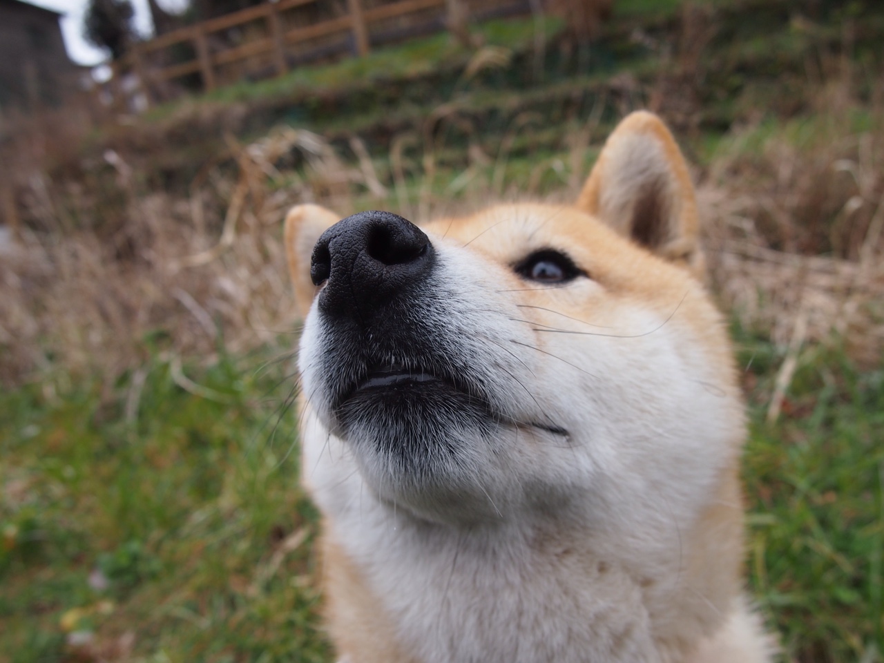 哈登率队打出高潮快船稳居前列,哈登晃倒的快船球员是谁