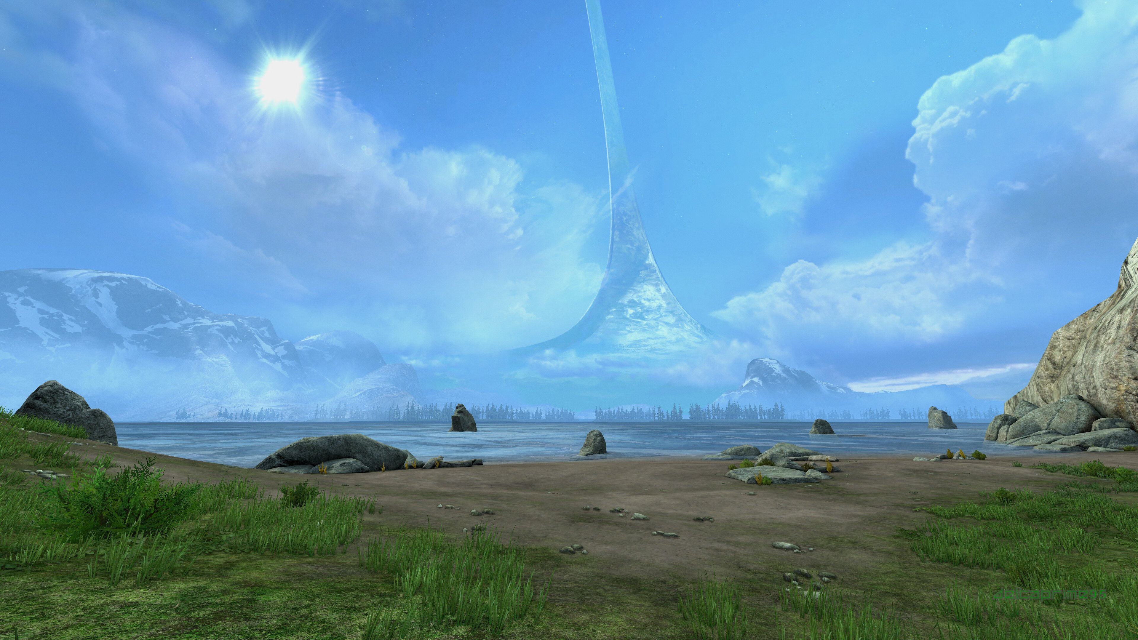 张伟丽获评最佳技术型选手,张伟丽技术特点分析