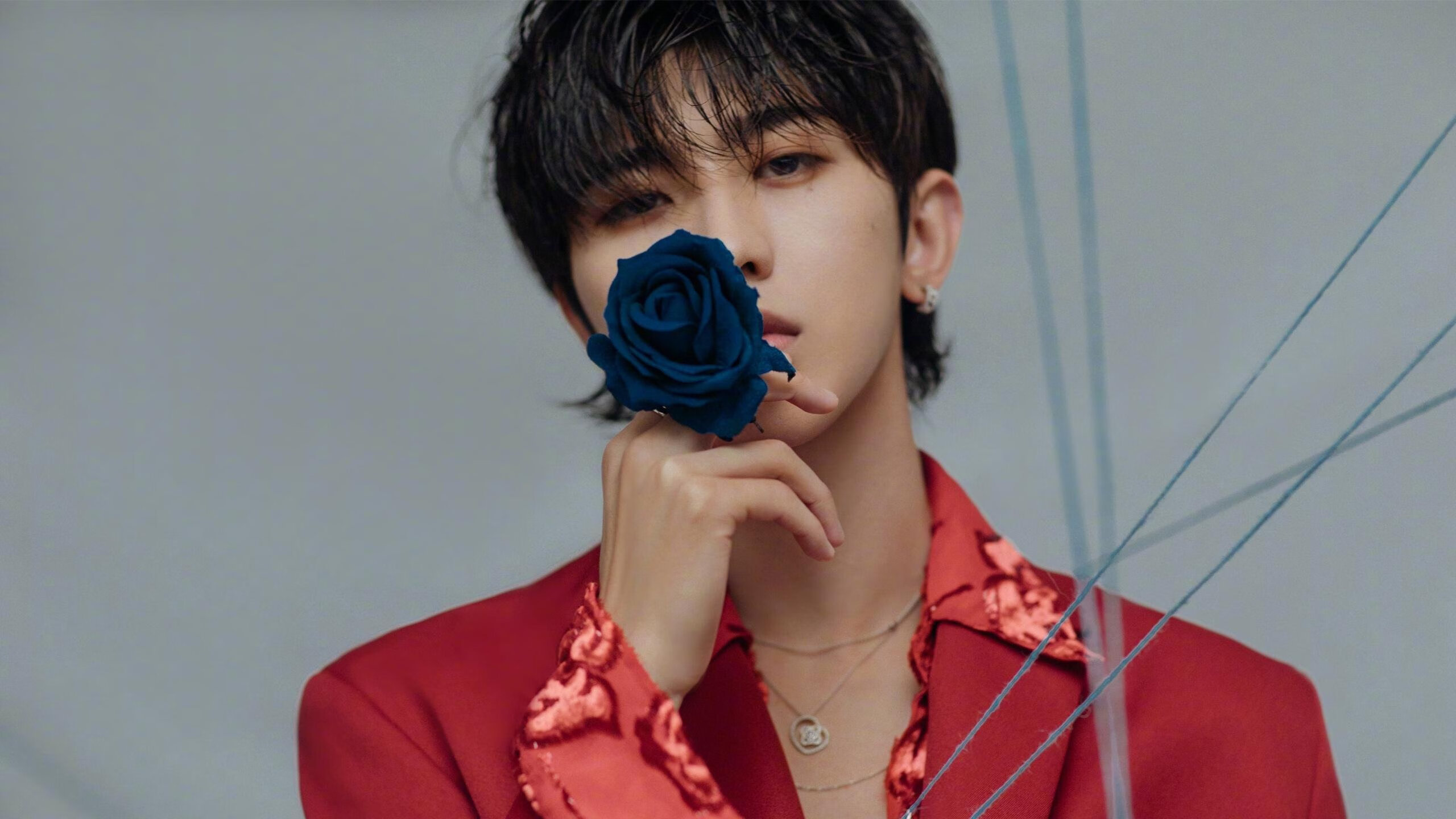 德甲俱乐部的球迷经济模型,德甲球队价值