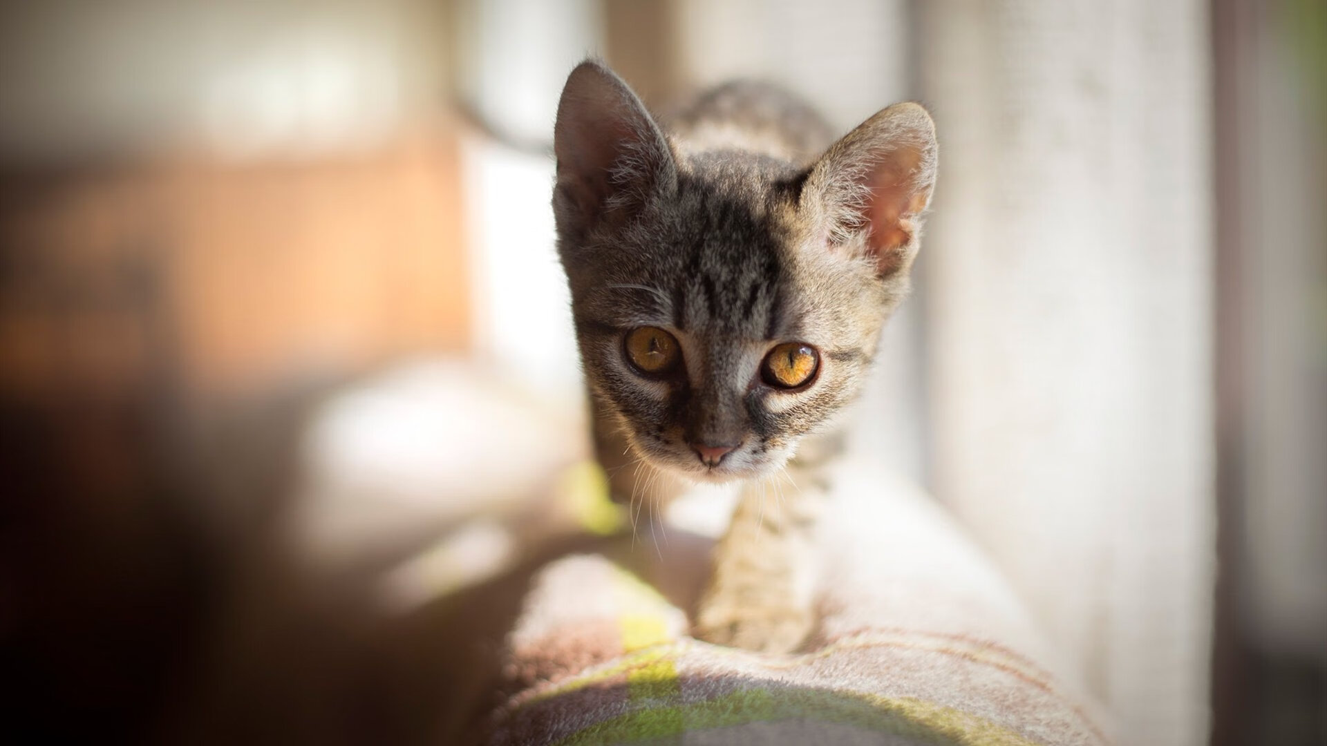 意甲快速反击:一瞬间撕裂对方防线,意甲6.2秒