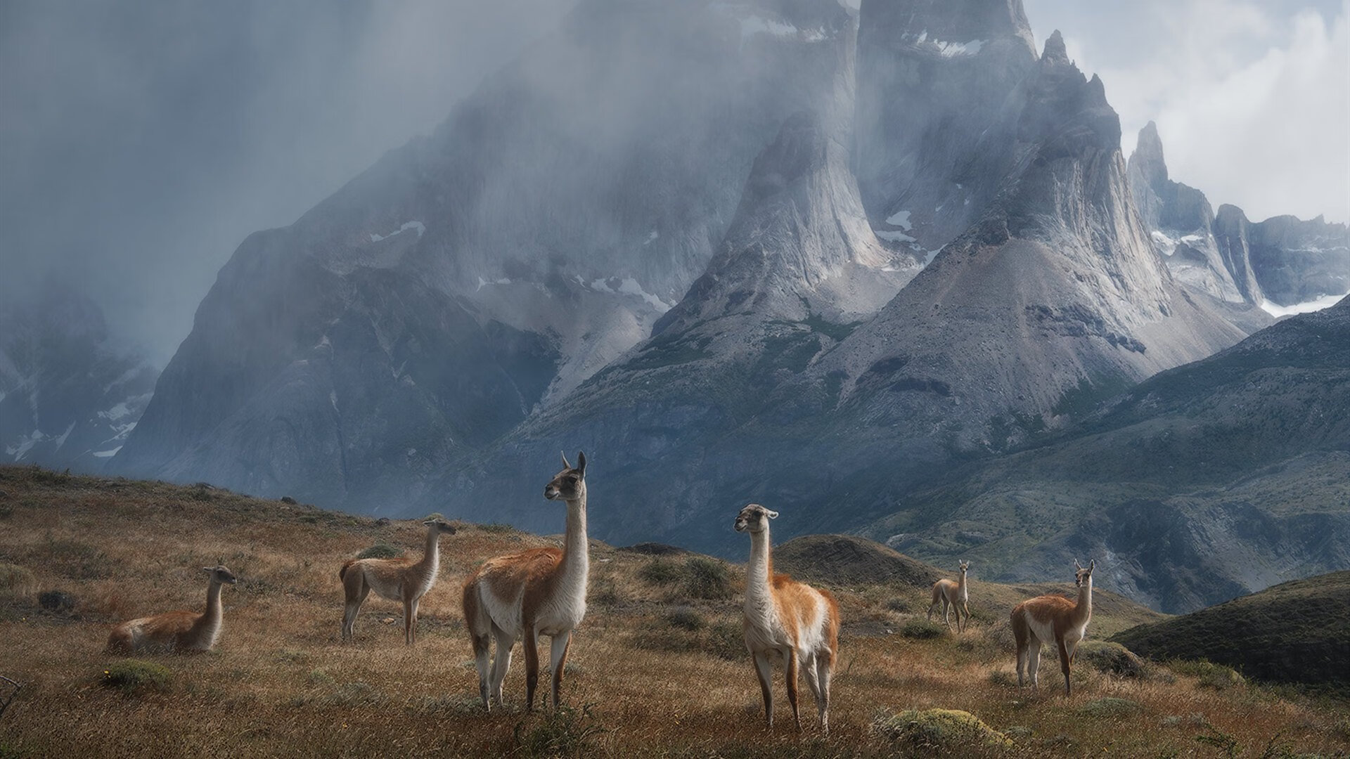 斯威士兰男篮在非洲锦标赛中崭露头角,勇夺佳绩